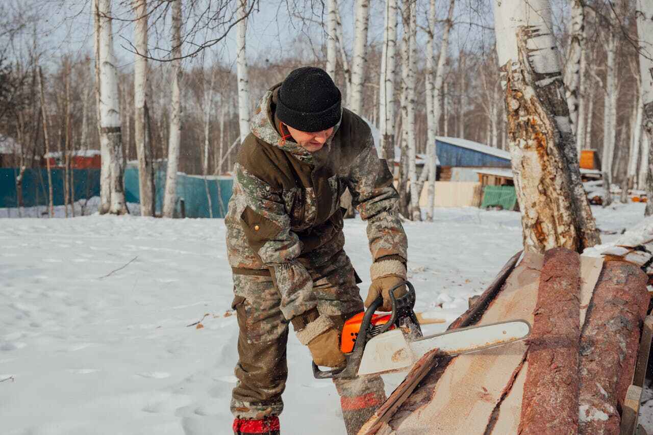 Gilbert, MN Tree Service Company